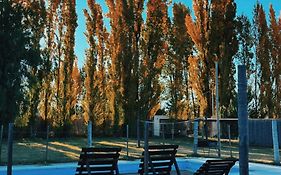 Ciruelos del Sur - San Rafael Mendoza